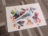 Picture of Blue jay