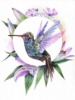 Picture of Hummingbird with lilies