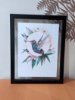 Picture of Hummingbird with lilies